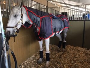 Getting the most out of your warm-up with Activo-Med