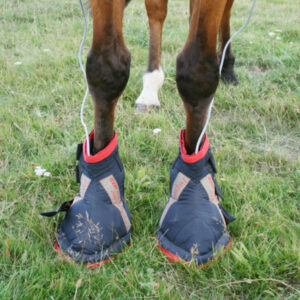 Hoof Boots