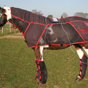 activo-med-combi-pro-rug2