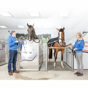 Horse-in-spa-and-horse-on-combi-floor-FMBS