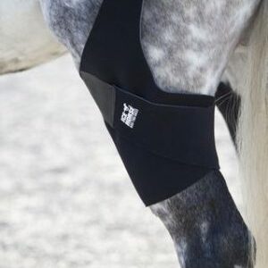 IceHorse® STIFLE WRAP