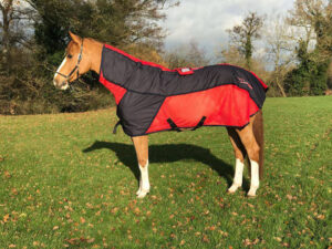 Activo-Med Contender