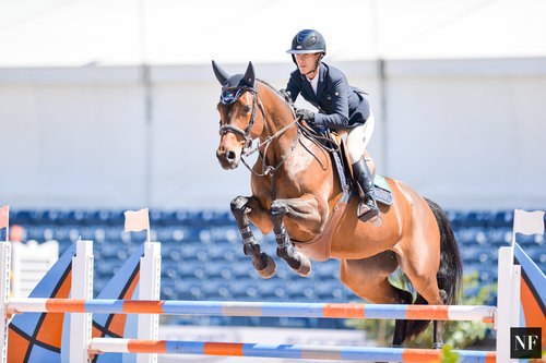 LaurenHough_Joblesse