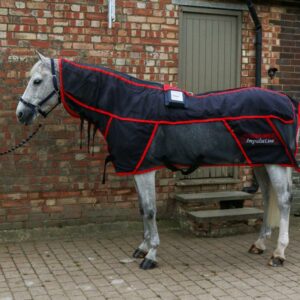 3 year old COMBI PRO II BLANKET Reconditioned (PEMF & Massage) HORSE size