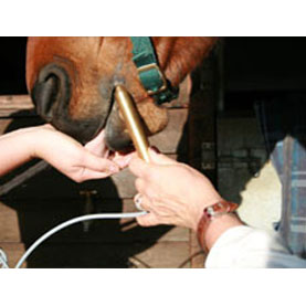 LOW LEVEL LASER - Pen