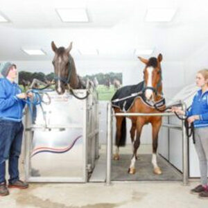Equine Spa
