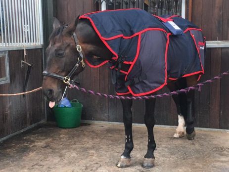 Upgrade your Activo-Med blanket to brand new lighter weight, fully mesh blanket with the latest PEMF technology