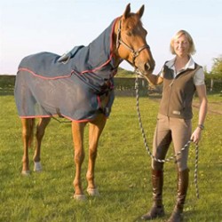 PEMF & MASSAGE BLANKET Reconditioned HORSE size