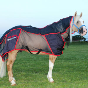 3 year old COMBI PRO II BLANKET Reconditioned (PEMF & Massage) HORSE size