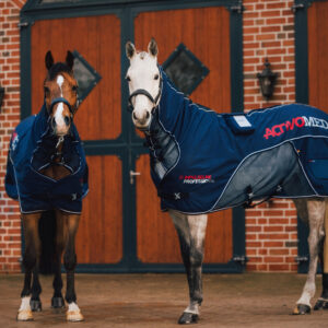 SOLO PRO PEMF BLANKET