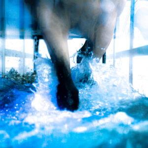 water treadmill