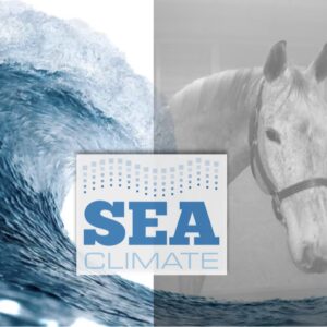 Ocean wave png border, transparent background